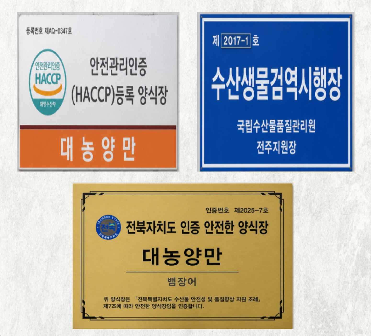 대농양만 HACCP 등록 양식장, 수산생물검역시행장, 전북자치도 인증 안전한 양식장 인증 현황